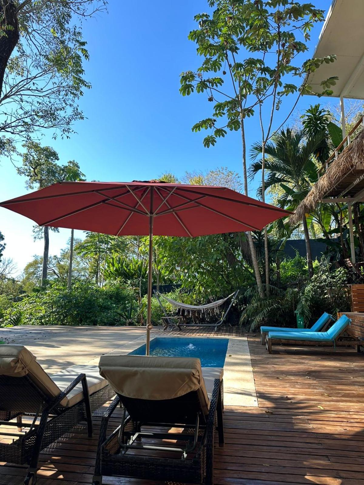 La Sana Surf Hotel, New Management, Few Mn Drive To The Beach Playa Santa Teresa  ภายนอก รูปภาพ